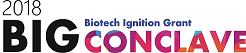 Logo for BIG Conclave 2018