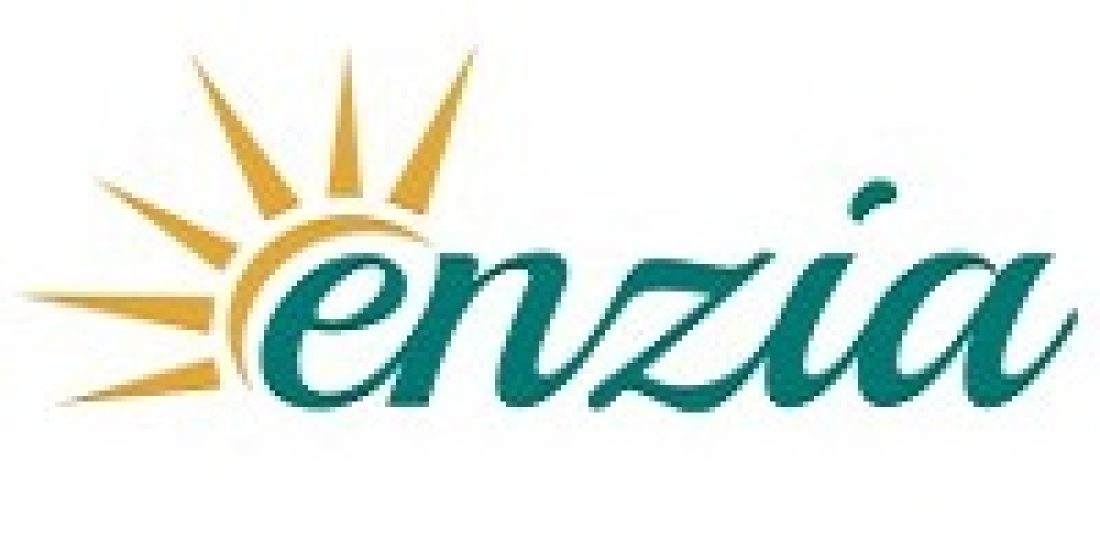 enzia_ventures_logo